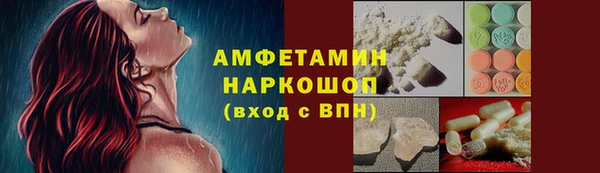 мет Ельня