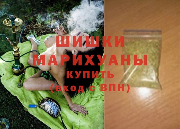 мет Ельня
