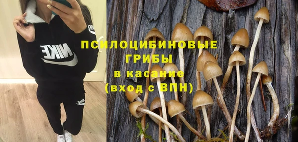 герыч Дмитров