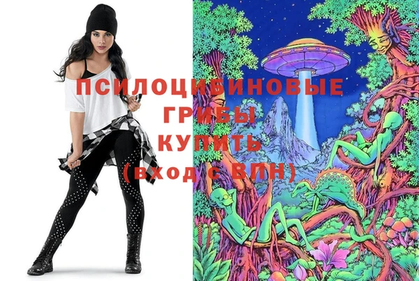 прущие крисы Дмитриев