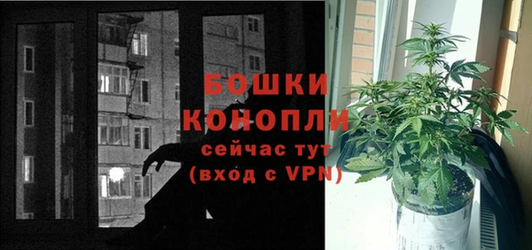 прущие крисы Дмитриев