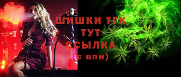 мет Ельня