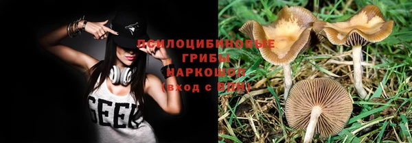 герыч Дмитров