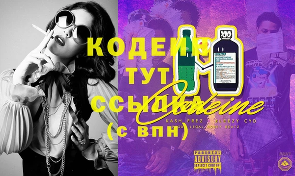 мет Ельня
