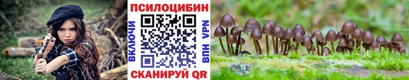 Псилоцибиновые грибы MAGIC MUSHROOMS  Купить  Новокузнецк 
